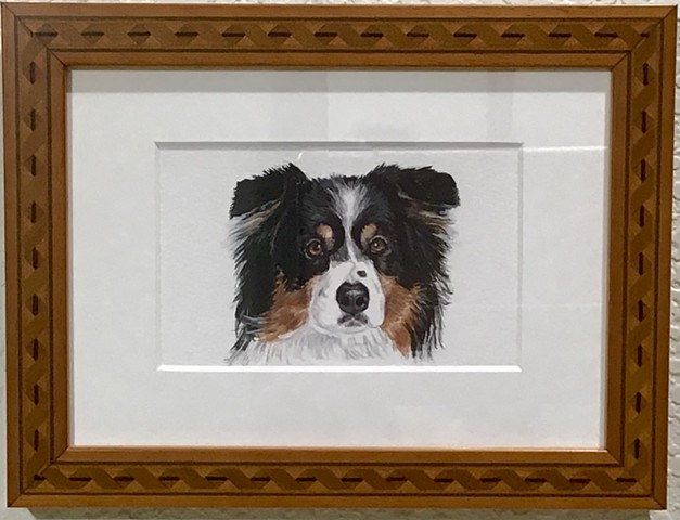 Miniature painting, miniature pet painting, miniature dog portrait, pet portrait, Australian Shepherd art, Sue Betanzos, Sue Betanzos art