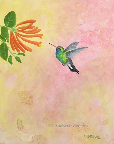 Hummingbird, broad billed hummingbird, Hummingbird art, hummingbird painting, wildlife art, bird art, sue betanzos art, betanzos designs