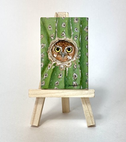 Owls, elf owl, wildlife art, owl art miniature painting, sue Betanzos art, Sue Betanzos Design