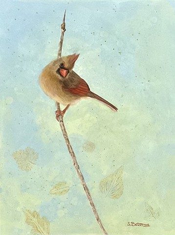 North American cardinal, female cardinal painting, Sue Betanzos, garden birds, song birds, 