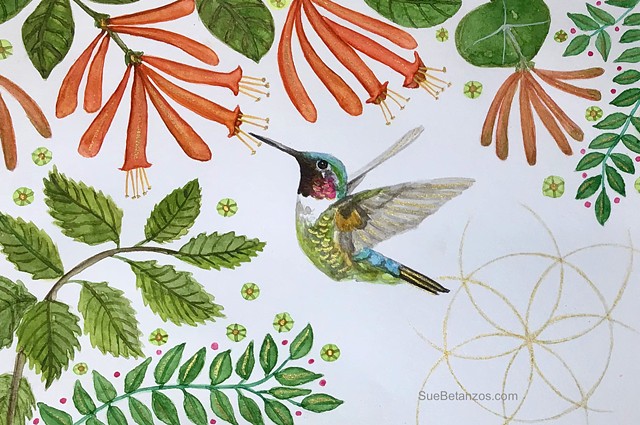 Anna's hummingbird painting, tucson hummingbird, hummingbird watercolor painting, sue betanzos art, sue betanzos designs