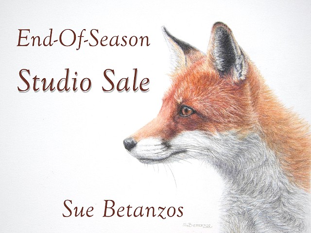 End-Of-Season Studio Sale