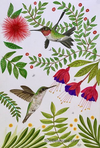 Ruby throated hummingbird, hummingbirds, watercolor hummingbird painting, garden bird painting, sue betanzos art, sue betanzos designs