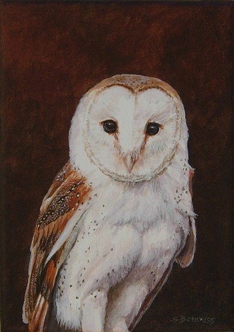 barn owl portrait, barn owl art, owl art, owl painting, barn owl painting, sue betanzos