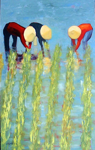Rice field Vietnam