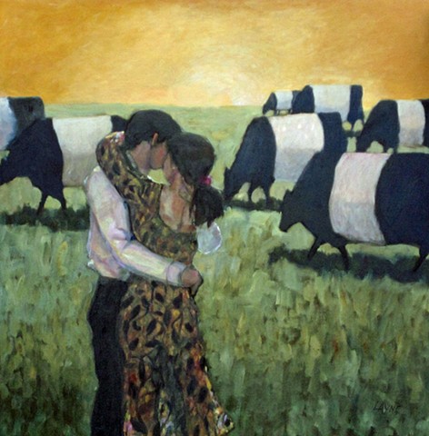 belted cows, field, dancing
