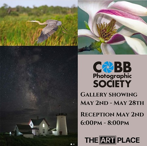 Cobb Photographic Society Spring 2024 Exhibit