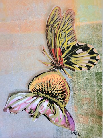 Metamorphosis  1