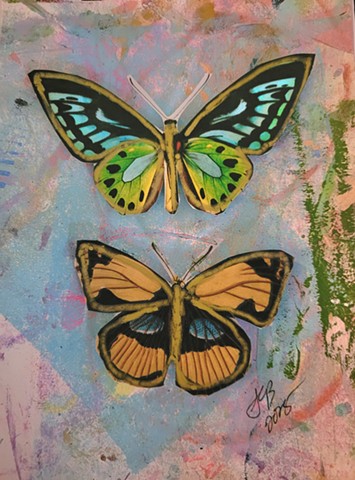 Metamorphosis 2.0
