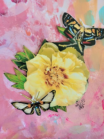 Metamorphosis 7