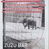 Flyer for a concert at ZUZU