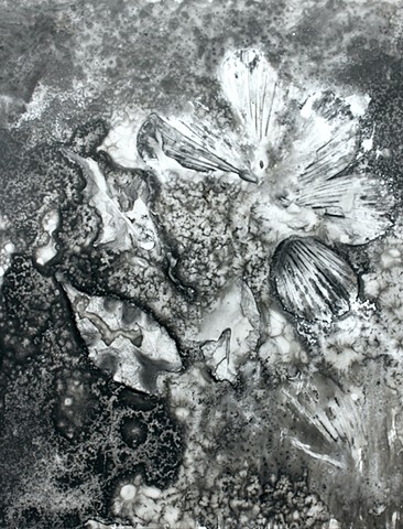 Crystal Hibiscus