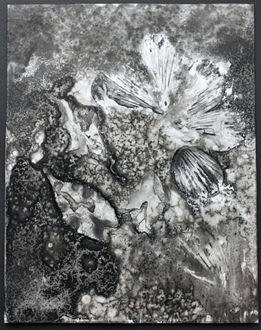 Crystal Hibiscus