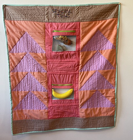 Special Items Quilt