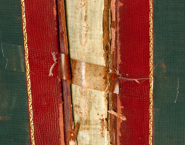 The Bulletin- Property Log vol.8 (1886), Adhesive damage