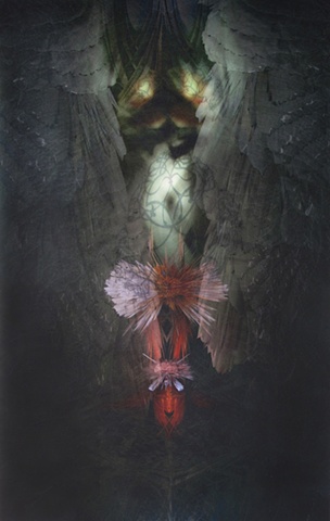 Disappear Into the Obscure