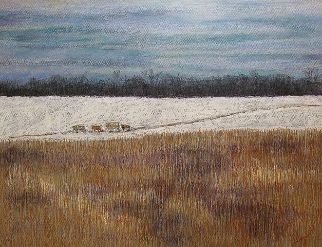 Winter Fields, 2017