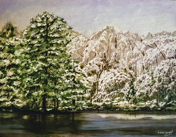 Winter in Powhatan, 2018