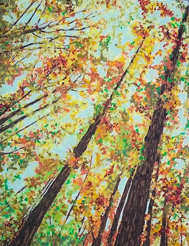 Autumn in Central Virginia , 2019