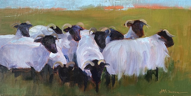 Oil painting of Scottish black faced sheep in Ireland by Judy McSween