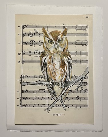 owl, sheet music
