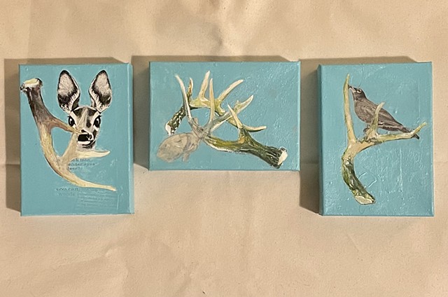Animals Shed triptych