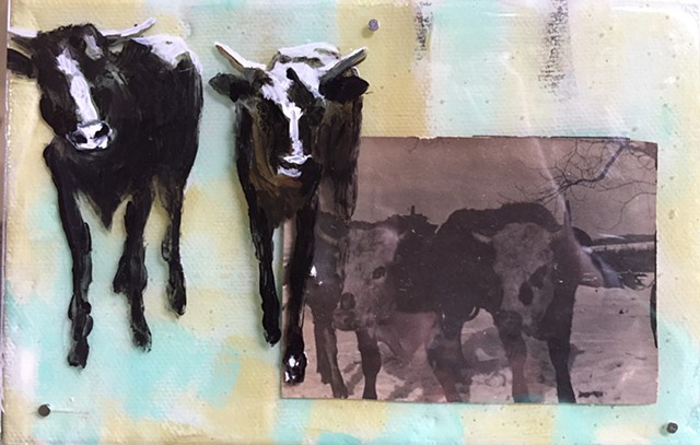 Cattle art by Katherine Bell McClure