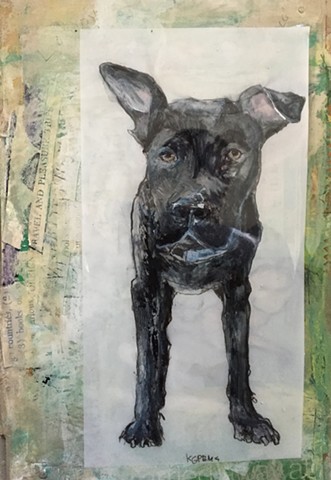 dog art by Katherine Bell McClure