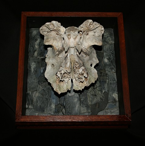 Mixed Media assemblage sculpture with bone, wood and anthracite coal remnants.