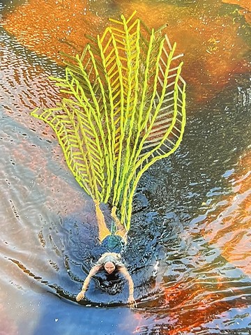 Swimming Sculpture