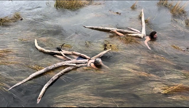 Swimming Sculpture 