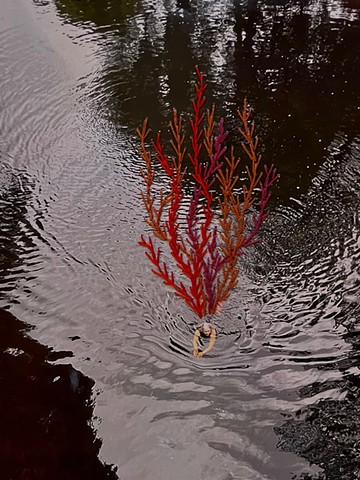 Swimming Sculpture : Gelidon