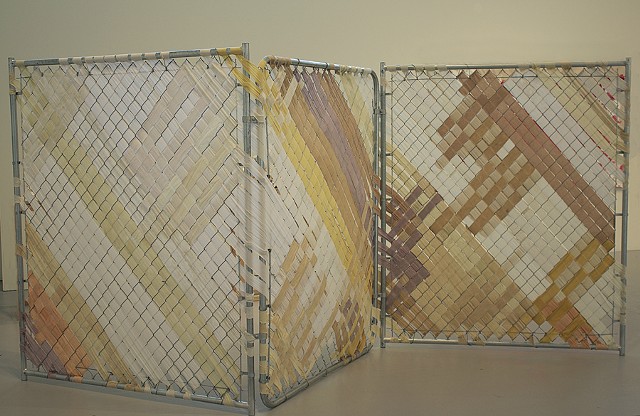 Woven Spaces, thoughts on vacant lots, Grace lee Boggs. Jaclyn Jacunski, Hyde Park Art Center Chicago Front and Center