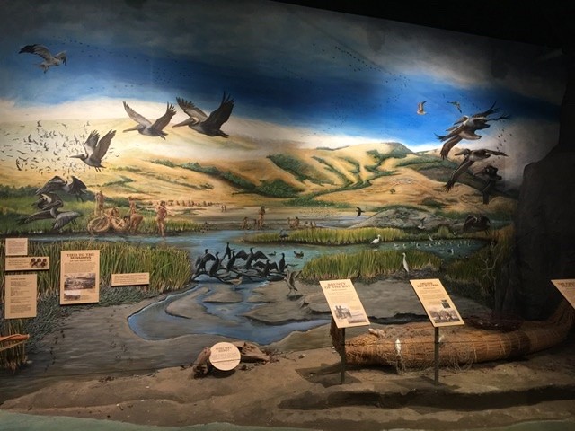 JUSTYN ZOLLI'S NATIONAL PARK MURALS NOW OPEN TO THE PUBLIC-Feb 2012