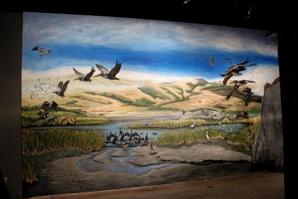 'The Presidio 1790: Home of the Yelamu'
designed & hand-painted mural for National Park Service,
San Francisco Maritime National Historic Park, 
Visitor Center II, San Francisco CA