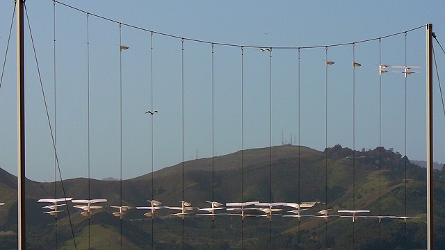 exhibit installation, 'Outdoor Exploratorium' exhibit, Fort Mason, SF. 
Exploratorium Museum of Science and Perception
the gliders catch the wind and travel up and down the cables, showing air currents. Developed by Maz Katua)