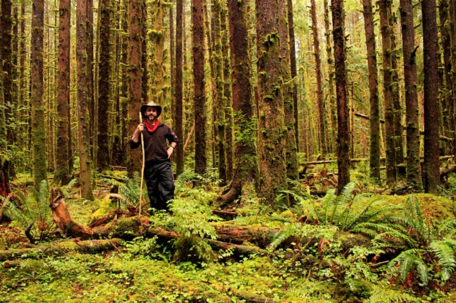 Hoh Rainforest, Washington 
