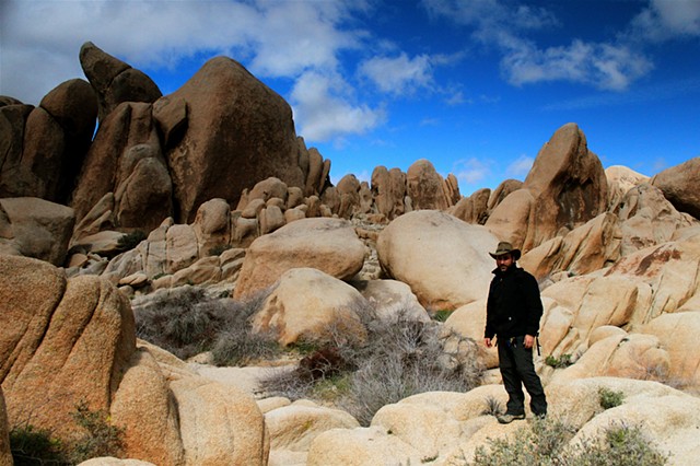 the undulating sandstone forms of the Wonderland of Rocks, Joshua Tree National Park, CA