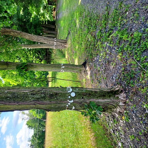 A Poem Three Feet High