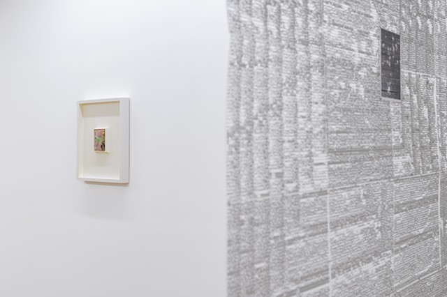 Installation View (from left to right Jason Carey-Sheppard and Mitch Patrick.)