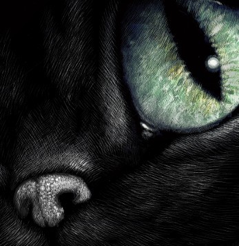 Cheshire Cat, smiling cat, mysterious cat, pop art, alice in wonderland art