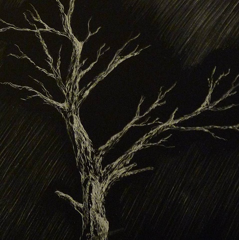 Lone Tree black and white scratchboard