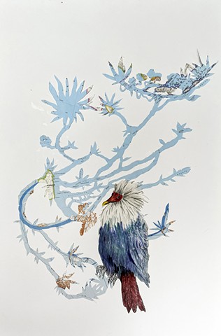 Mauritius Blue Pigeon
