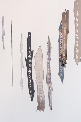 Wing & Prayer Installation
Audio: Laurie Allmann
Visual: Sonja Peterson