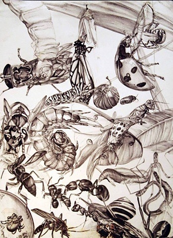 “Infestation”, 2007, ballpoint pen, 9’’×12’’