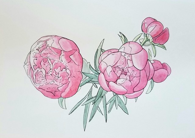 Peony