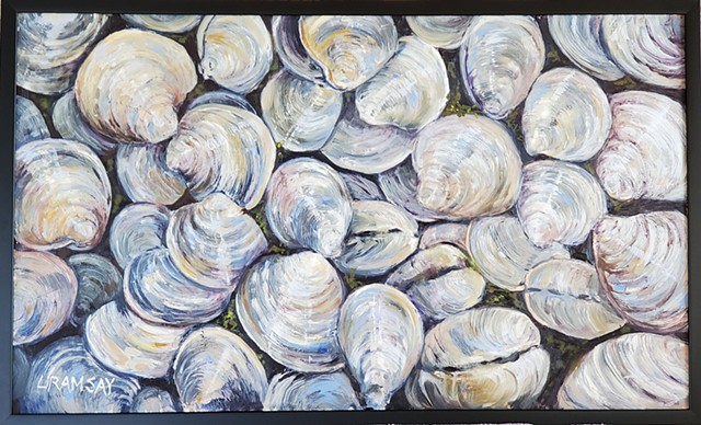 Local Summer Clams SOLD