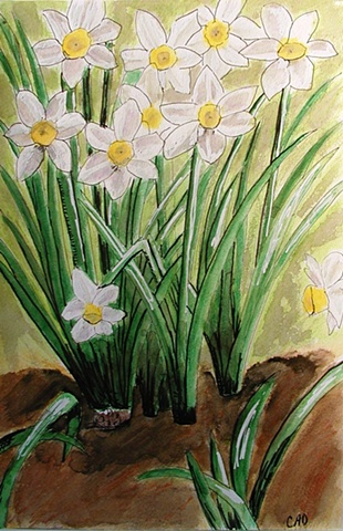 Daffodils: Spring