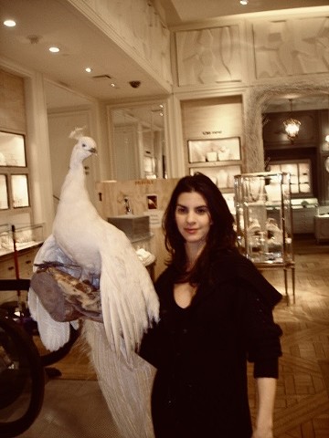 Holiday decoration BG chandeliers 