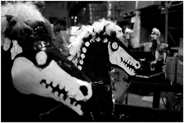 Krewe Delusion, Mardi Gras, Mardi Gras 2012, New Orleans, New Orleans LA, Mardi Gras Parade, Mardi Gras Parade 2012, New Orleans photography, Photography, Crystal Shelton, Crystal Shelton Photography